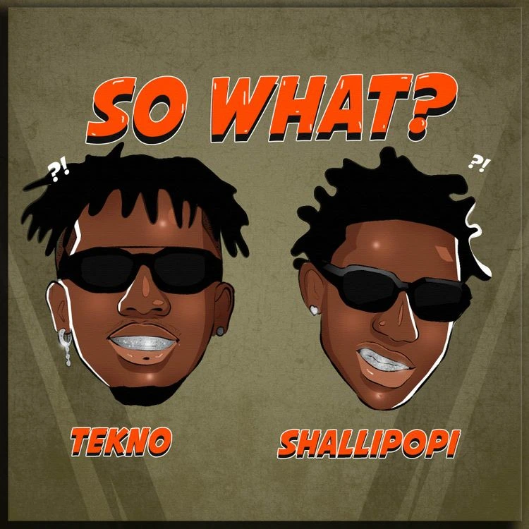 Tekno – So What? Ft. Shallipopi