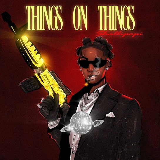 Shallipopi Things On Things Instrumental